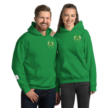 Load image into Gallery viewer, Hoodie Take Phlyt