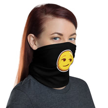 Load image into Gallery viewer, Neck Gaiter Mask