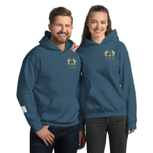 Load image into Gallery viewer, Hoodie Take Phlyt